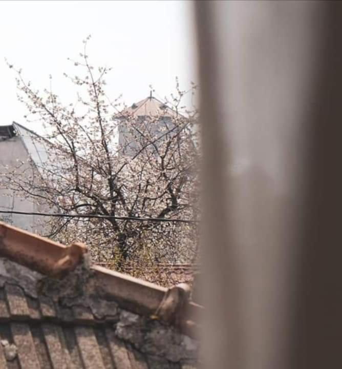 Casa File De Poveste Târgu Jiu Екстериор снимка