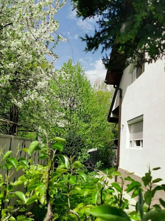Casa File De Poveste Târgu Jiu Екстериор снимка