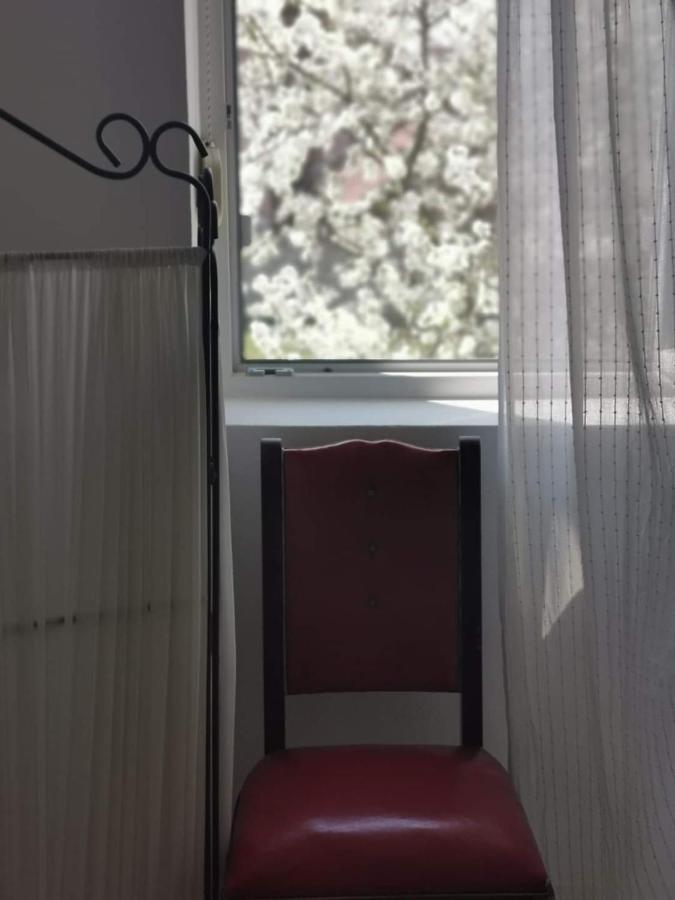 Casa File De Poveste Târgu Jiu Екстериор снимка