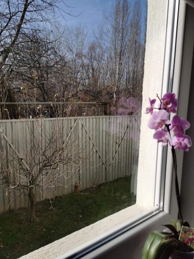 Casa File De Poveste Târgu Jiu Екстериор снимка